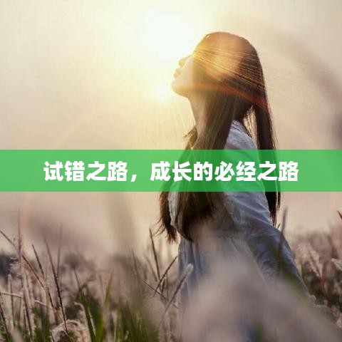 試錯之路，成長的必經之路
