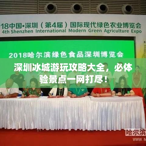 深圳冰城游玩攻略大全,必體驗景點一網(wǎng)打盡!