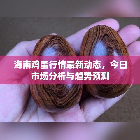 海南雞蛋行情最新動態,今日市場分析與趨勢預測