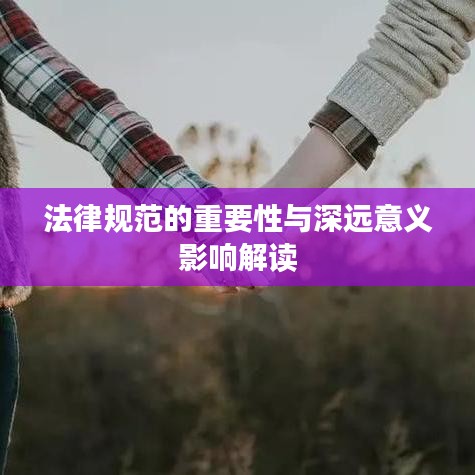 法律規范的重要性與深遠意義影響解讀