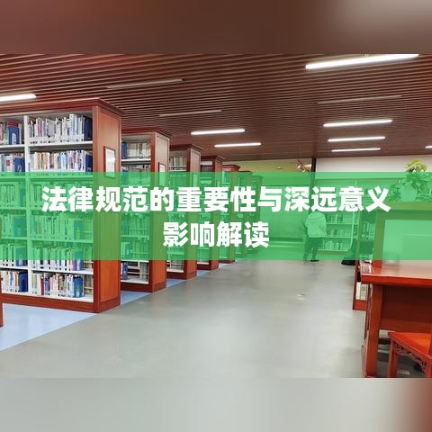 法律規范的重要性與深遠意義影響解讀