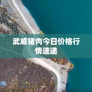 武威豬肉今日價格行情速遞