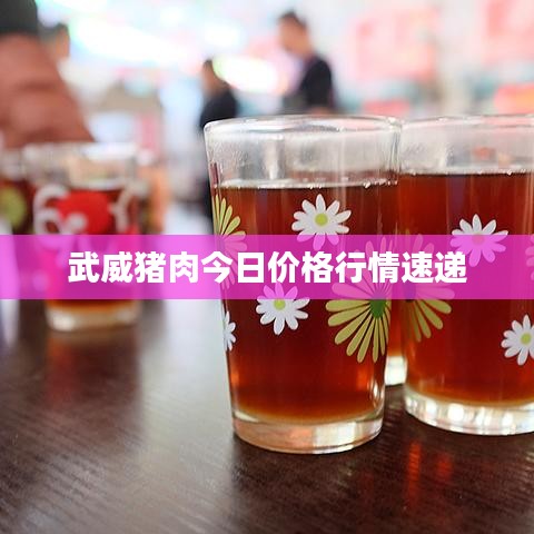 武威豬肉今日價格行情速遞