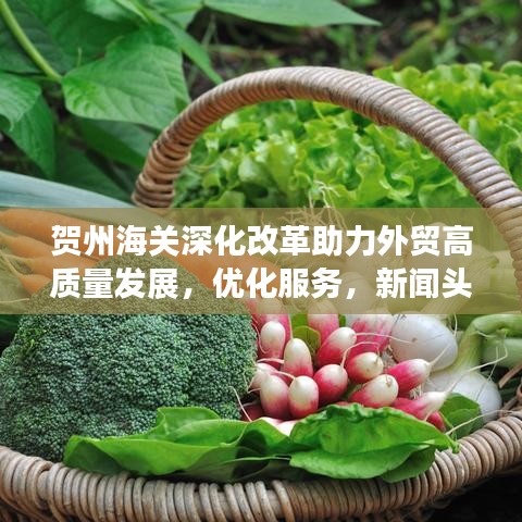 賀州海關深化改革助力外貿高質量發展,優化服務,新聞頭條搶先看