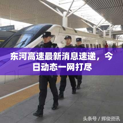 東河高速最新消息速遞,今日動態一網打盡