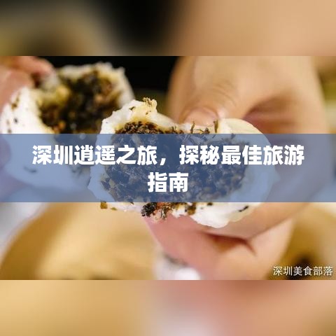 深圳逍遙之旅,探秘最佳旅游指南