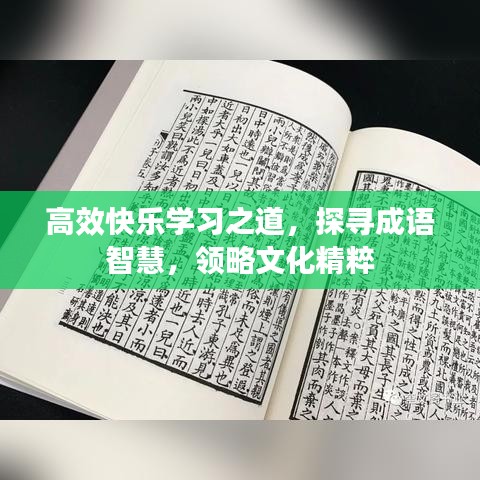 高效快樂學習之道,探尋成語智慧,領略文化精粹