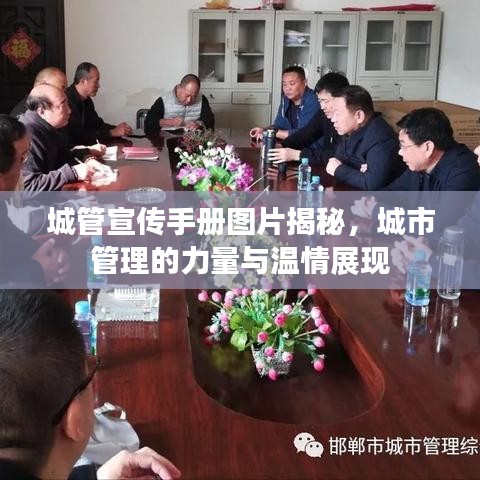 城管宣傳手冊圖片揭秘,城市管理的力量與溫情展現