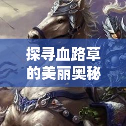 探尋血路草的美麗奧秘，百度圖片帶你領略血路草的風采