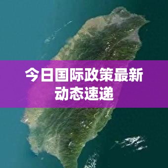 今日國際政策最新動態速遞