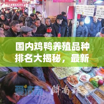 國內雞鴨養殖品種排名大揭秘,最新排名榜單!
