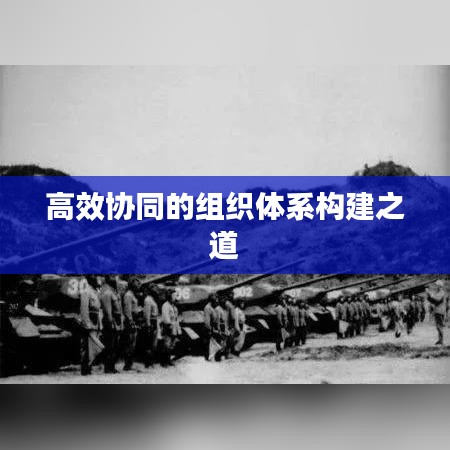 高效協同的組織體系構建之道