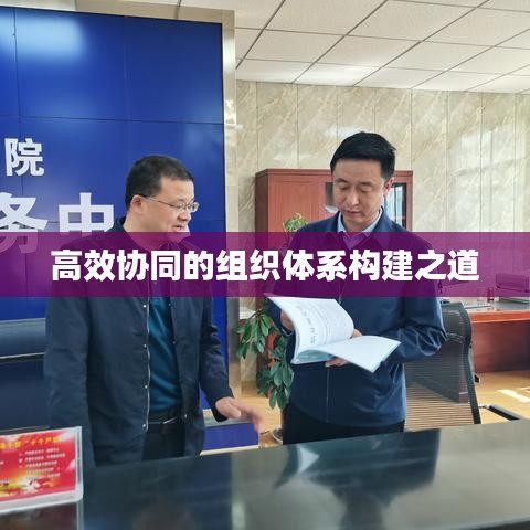 高效協同的組織體系構建之道