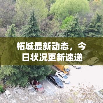 柘城最新動態(tài),今日狀況更新速遞