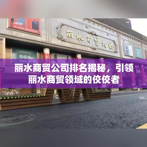 麗水商貿公司排名揭秘，引領麗水商貿領域的佼佼者