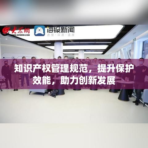 知識產權管理規范，提升保護效能，助力創新發展