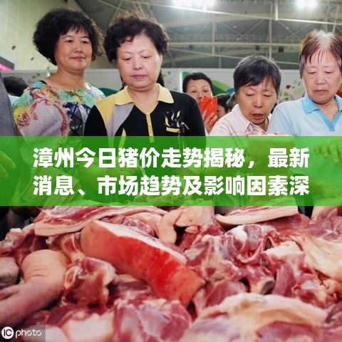 漳州今日豬價走勢揭秘，最新消息、市場趨勢及影響因素深度解析