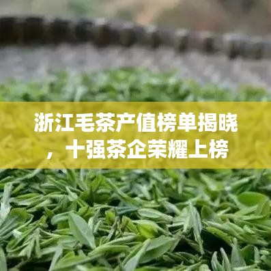浙江毛茶產值榜單揭曉,十強茶企榮耀上榜