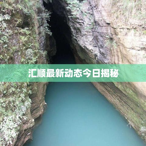 匯順最新動態(tài)今日揭秘