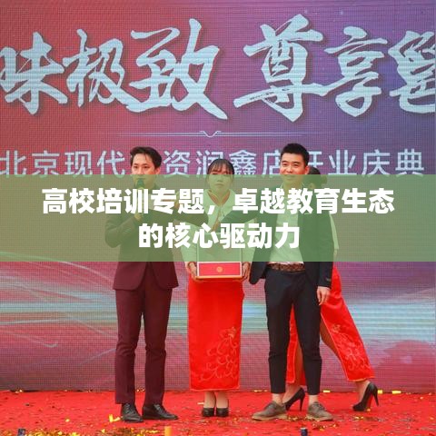 高校培訓專題,卓越教育生態的核心驅動力