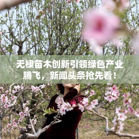 無棣苗木創新引領綠色產業騰飛，新聞頭條搶先看！