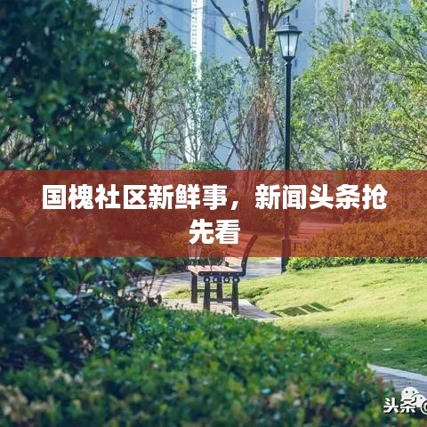 國槐社區新鮮事,新聞頭條搶先看