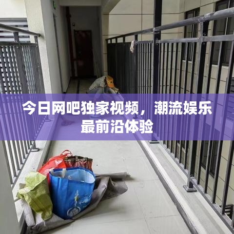 今日網吧獨家視頻,潮流娛樂最前沿體驗