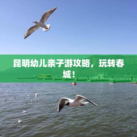 昆明幼兒親子游攻略,玩轉(zhuǎn)春城!