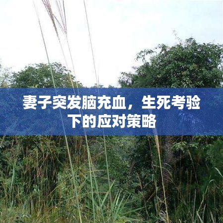 妻子突發腦充血，生死考驗下的應對策略