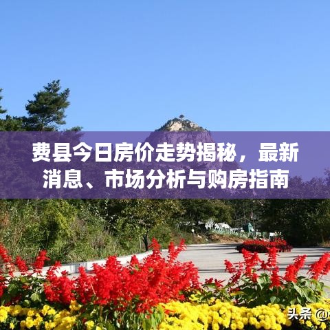 費縣今日房價走勢揭秘,最新消息、市場分析與購房指南