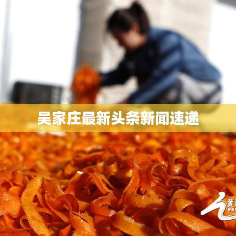 吳家莊最新頭條新聞速遞