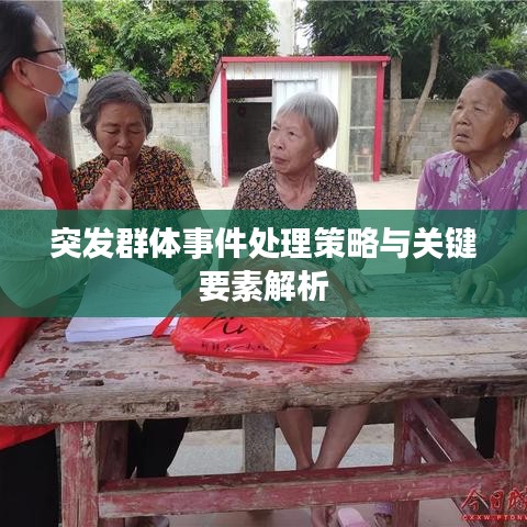 突發(fā)群體事件處理策略與關(guān)鍵要素解析