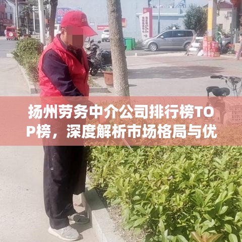 揚州勞務中介公司排行榜TOP榜,深度解析市場格局與優質服務商!
