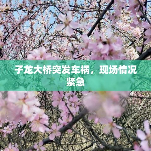 子龍大橋突發車禍，現場情況緊急