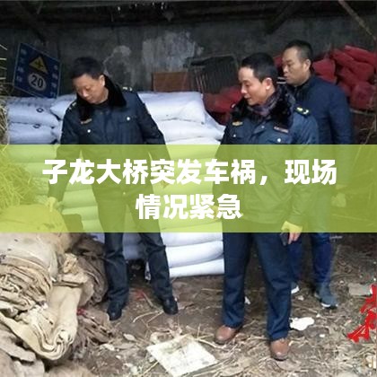 子龍大橋突發車禍,現場情況緊急