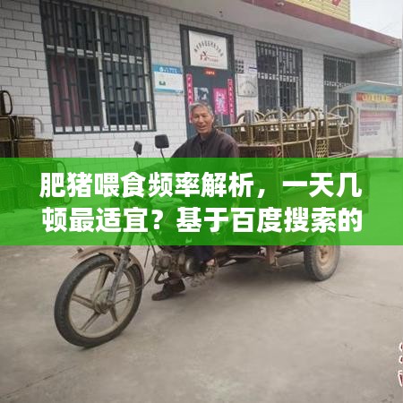 肥豬喂食頻率解析,一天幾頓最適宜?基于百度搜索的專業(yè)探討