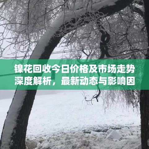 鎳花回收今日價格及市場走勢深度解析,最新動態與影響因素探討
