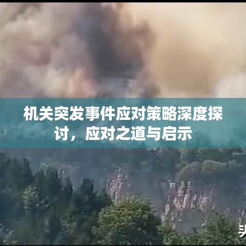 機關突發事件應對策略深度探討,應對之道與啟示