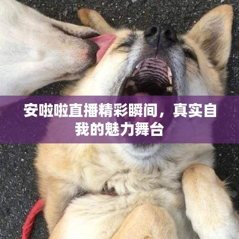 安啦啦直播精彩瞬間,真實自我的魅力舞臺