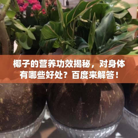 椰子的營養功效揭秘,對身體有哪些好處?百度來解答!