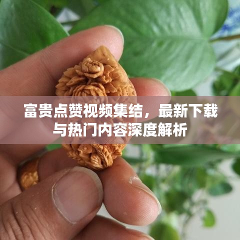 富貴點贊視頻集結,最新下載與熱門內容深度解析