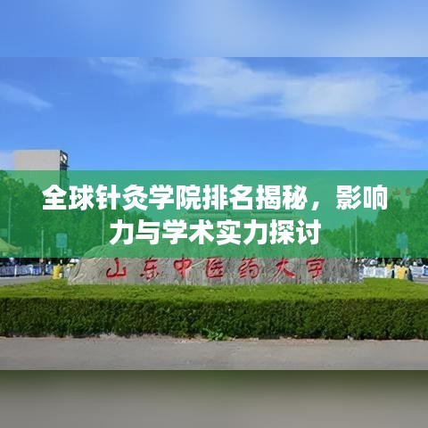 全球針灸學院排名揭秘,影響力與學術實力探討