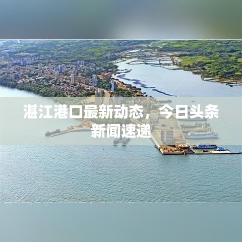 湛江港口最新動(dòng)態(tài)，今日頭條新聞速遞