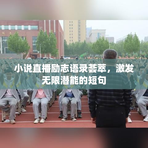 小說直播勵志語錄薈萃,激發無限潛能的短句