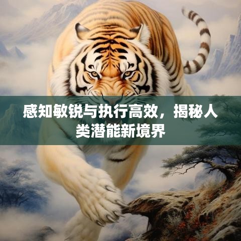 感知敏銳與執行高效，揭秘人類潛能新境界
