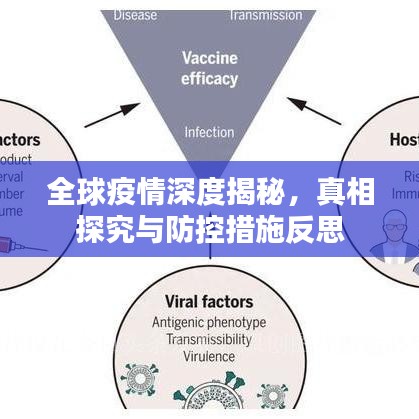 全球疫情深度揭秘,真相探究與防控措施反思