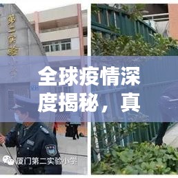 全球疫情深度揭秘,真相探究與防控措施反思