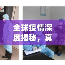 全球疫情深度揭秘,真相探究與防控措施反思