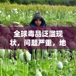全球毒品泛濫現(xiàn)狀，問題嚴重，地區(qū)排名與治理挑戰(zhàn)