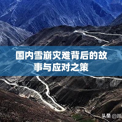 國內雪崩災難背后的故事與應對之策